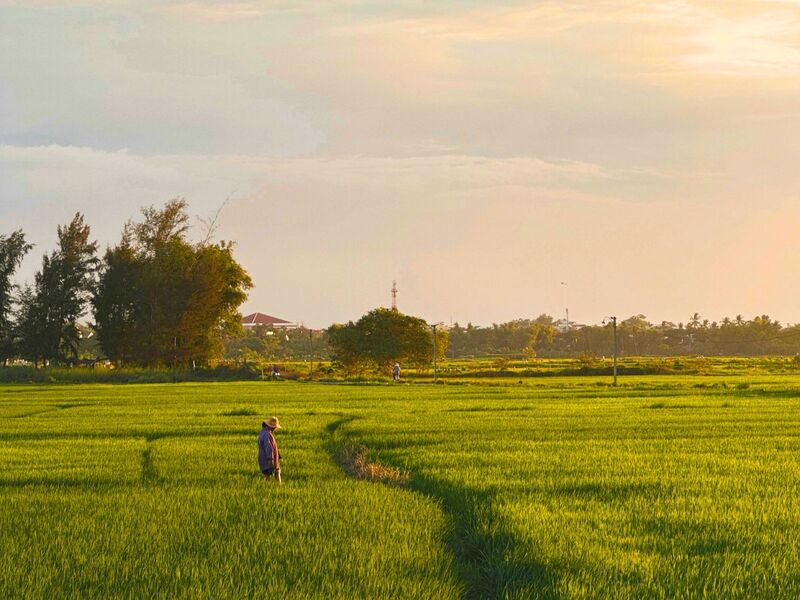 Anmira Hoi An is located beside the peaceful An My rice fields.