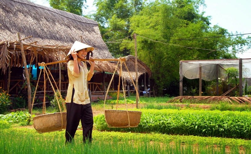Tra Que Vegetable Village in Hoi An.