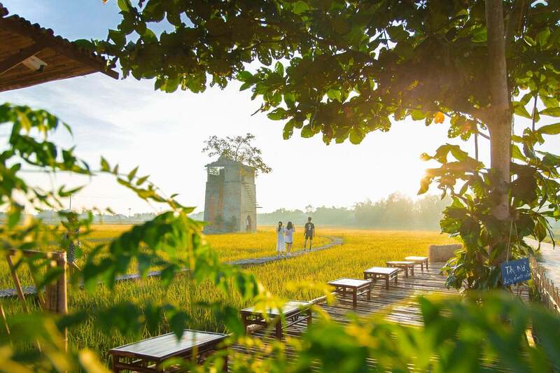 Rice fields and green spaces create a gentle rhythm of rest in Hoi An.